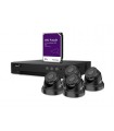 EtiamPro Ip-videobewakingsset - 4-kanaals nvr-recorder - 4 x ip dome-camera - 2 tb hd - kabels